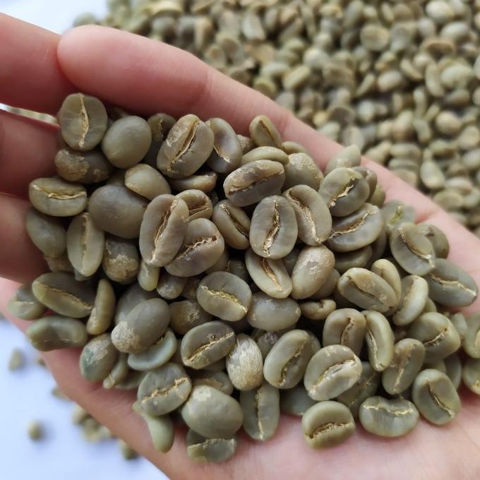

Biji Kopi Green Bean Arabika Full Wash Sukabumi Speciality Coffee 1 Kg
