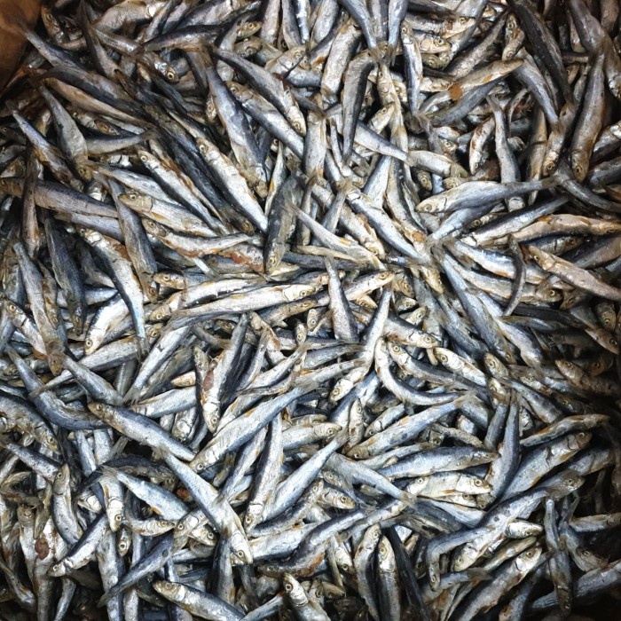 

Teri Batu Asin 1kg