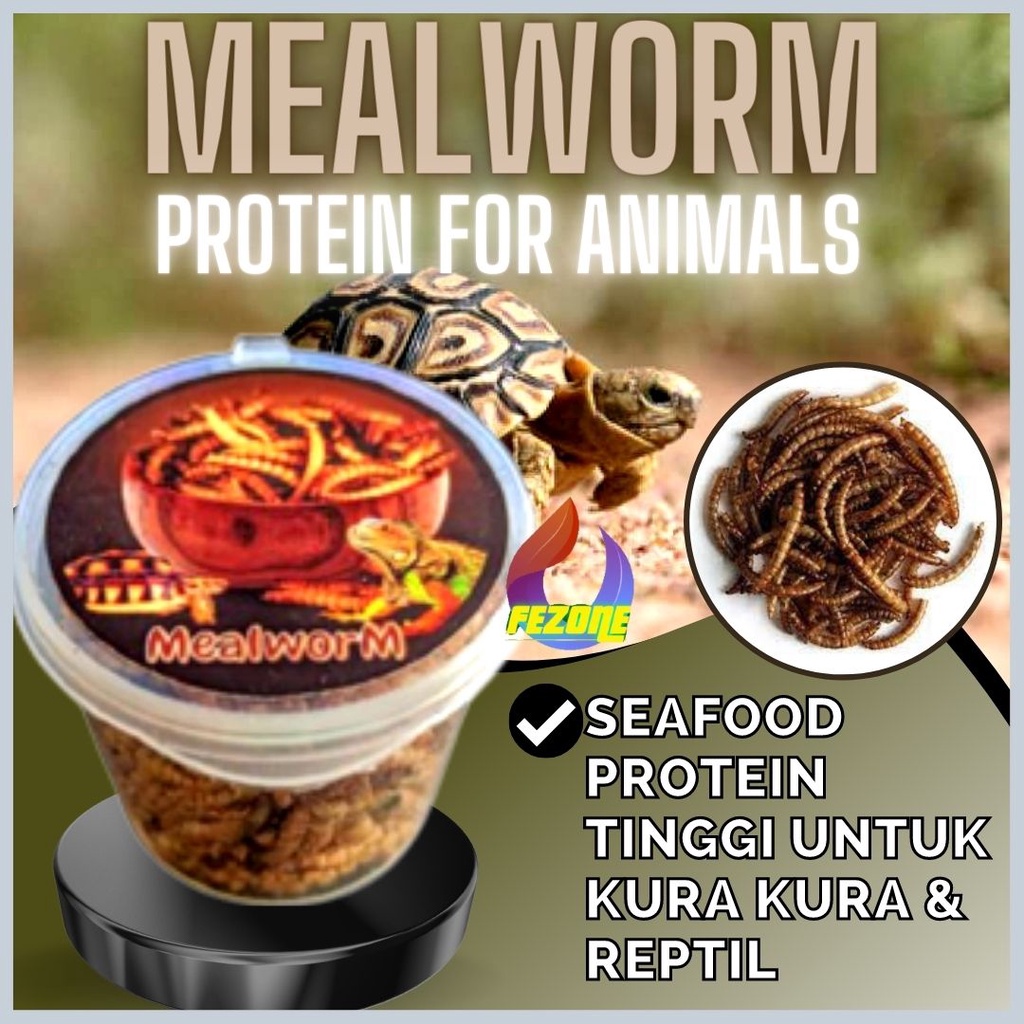 REPTILE REPTIL SEAFOOD PROTEIN TINGGI UNTUK KURA KURA FEZONE