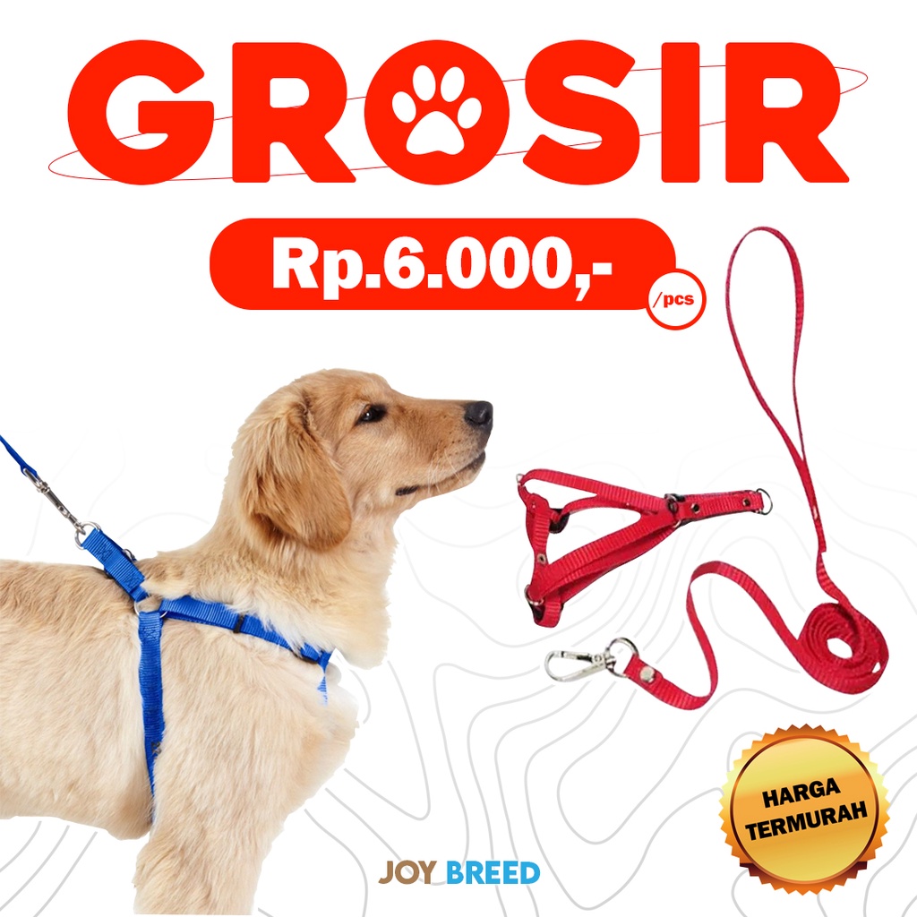 GROSIR TALI TUNTUN KUCING HARNESS KUCING MODEL Y PANJANG TALI 90CM