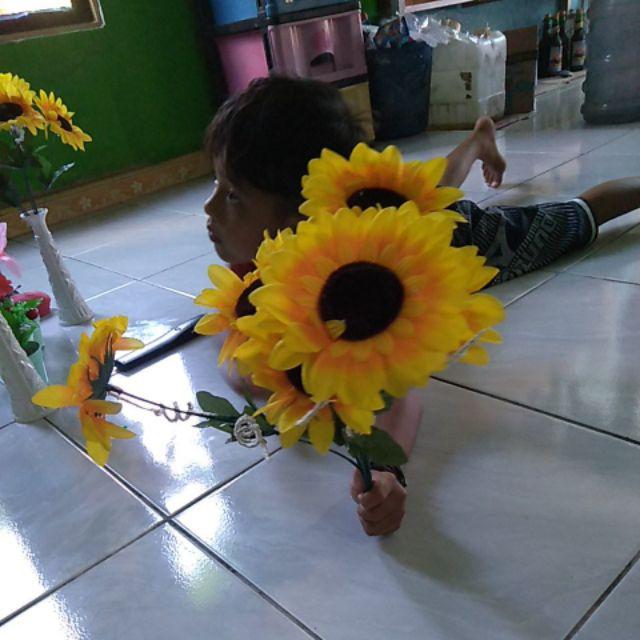 Bunga Matahari Kelopak Besar X7