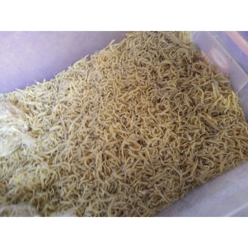 

Teri medan