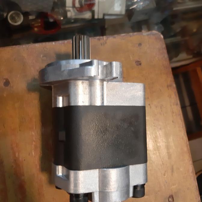 Gear Pump Sgp 1A 36 L 541