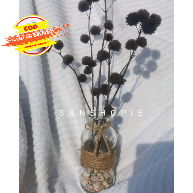 

Bunga Pom Pom Asli Kering Jual Per 5 Tangkai