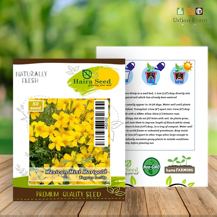 Benih-Bibit Marigold Mexican Mint (Haira Seed)