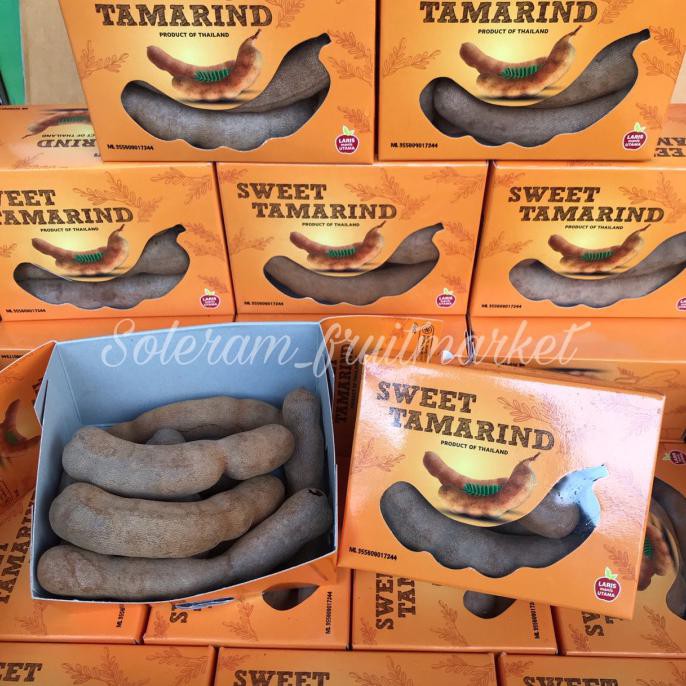 

Buah tamarind tamarin Asem Asam Manisan Bangkok Thailand 250gr BERGARANSI Kode 825