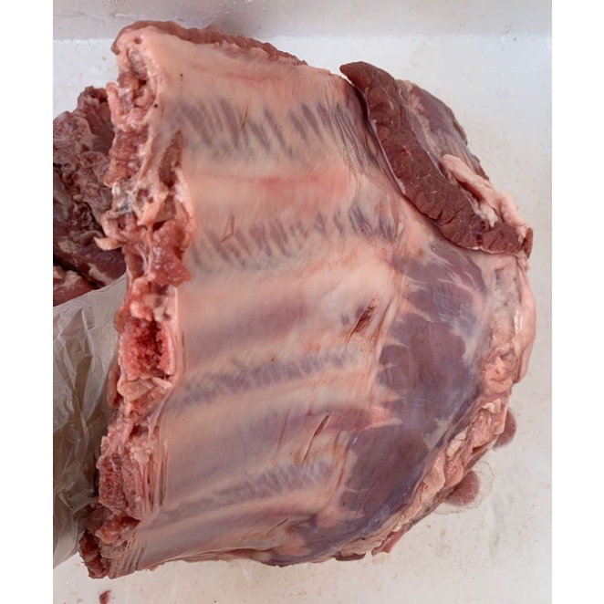 

Iga Baikut - Pork Ribs - Iga Babi - Babi Frozen - Supplier Babi