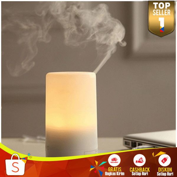 Pelembab Udara Terbaru RO 11 Air Humidifier Aromatherapy Ultrasonic Plus Lampu RGB Dekorasi Rumah