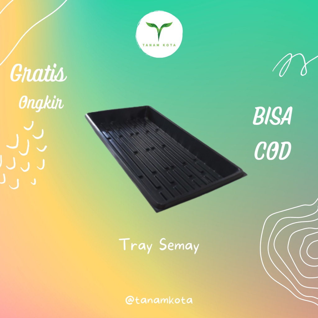 Tray Semai Tempat Nampan Pot Semai Semay Penyemaian Hidroponik Tebal Besar Bibit Benih Biji Anggrek 