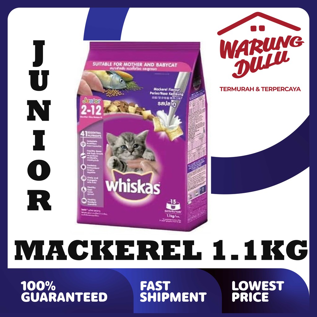 WHISKAS JUNIOR MACKEREL 1.1KG