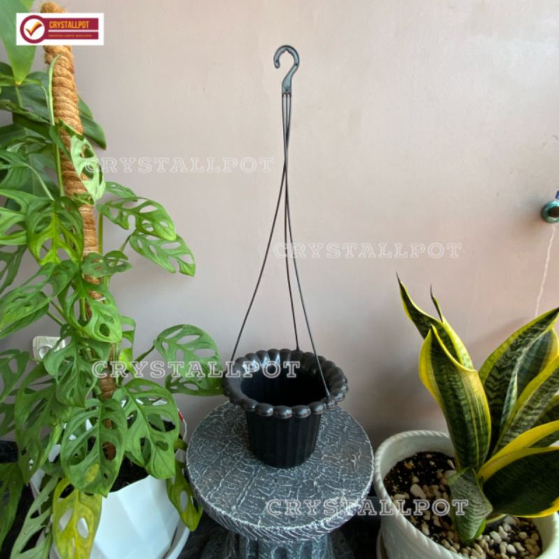 pot bunga tanaman gantung mawar warna hitam 20cm - HITAM ORIGINAL