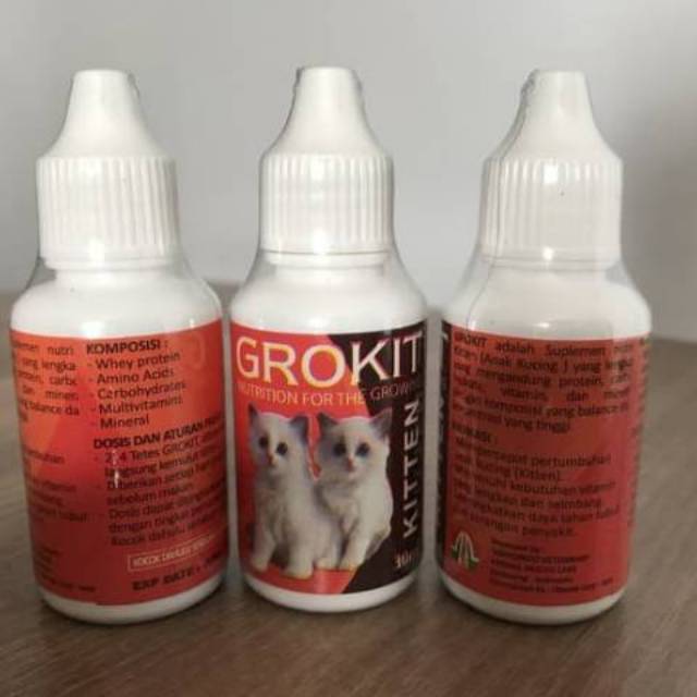 grokit vitamin anak kucing