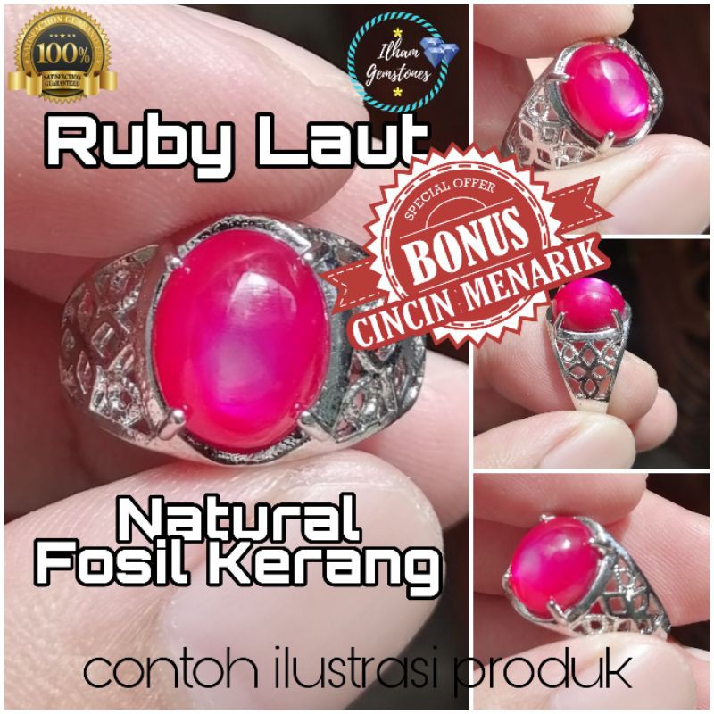 Cincin  Ruby Laut Fosil Kerang Asli Natural