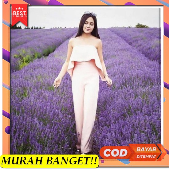 Tashappy Bs003 Jumpsuit Wanita Fashion Kekinian Model Polos Plisket Te Jumpsuit Scuba - Va636 - Xs