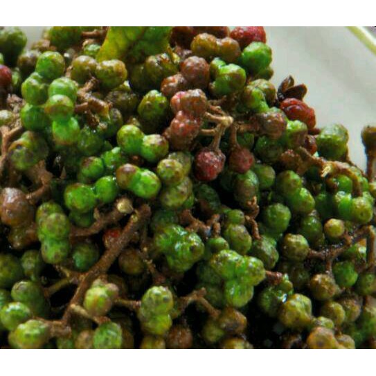 

Andaliman bumbu khas medan 250gram