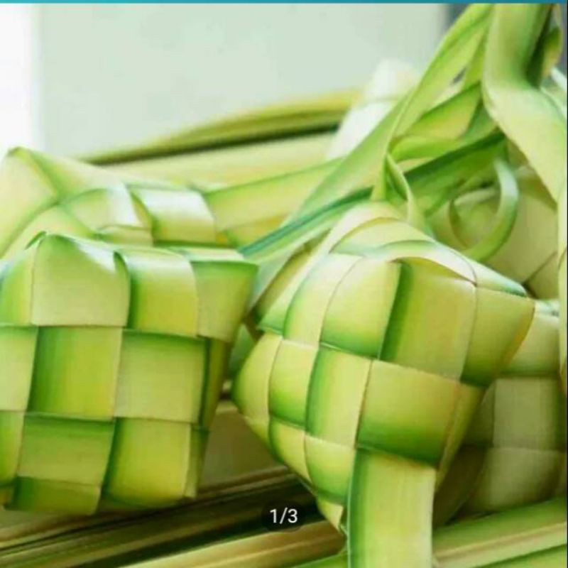 

Daun Kelapa Muda untuk cangkang ketupat lebaran per lembar