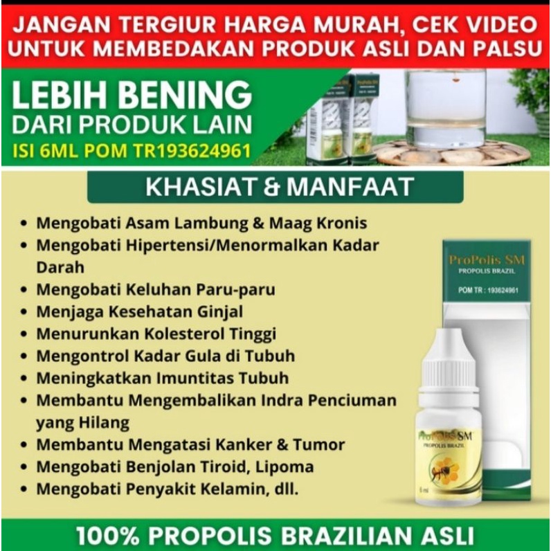 PROPOLIS SM (ORI 100%)