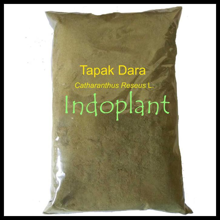 

Serbuk Tapak Dara 500 G Simplisia Vinca Tapakdara Bubuk Tapak Doro
