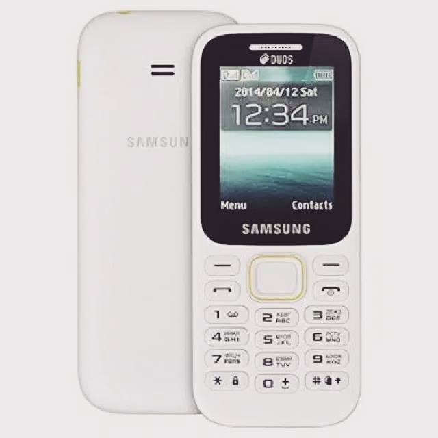 SAMSUNG GURU MUSIC 2