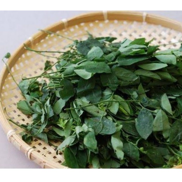 

Daun Kathuk 250gr / Sayur Kathuk/ Katuk/ Katu