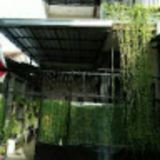 sunarsihekasafitri
