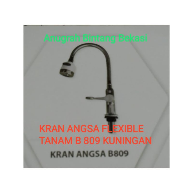 KRAN ANGSA FLEKSIBEL TANAM B 809 KUNINGAN