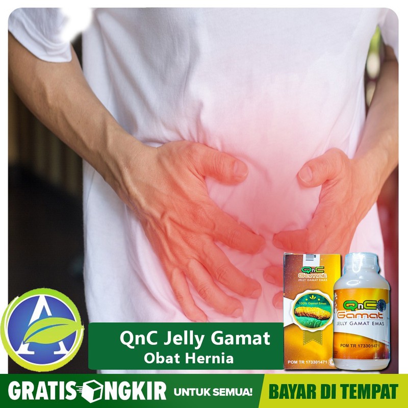 Obat Hernia, Obat Hernia Herbal, Obat Hernia Cair, Obat Herbal Hernia QNC JELLY GAMAt Terlaris