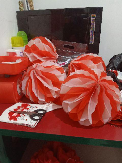 Pom Pom Kertas Bunga Dekorasi / Tissue Flower Ball Uk. 25cm