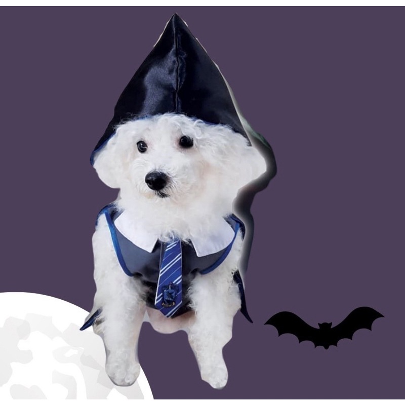 Harry Potter Costume