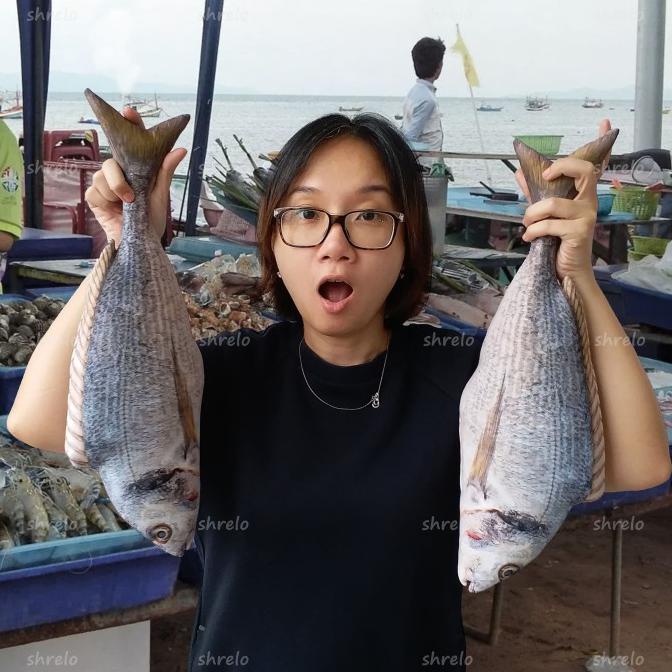 Boneka Ikan Segar mirip ikan beneran untuk prank
