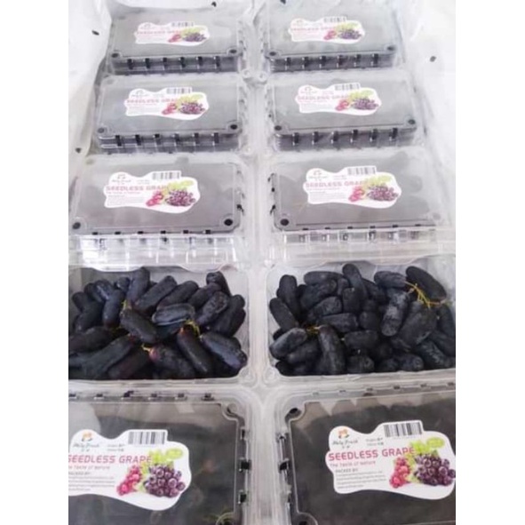 

BUAH ANGGUR SAPIRE MONDROP