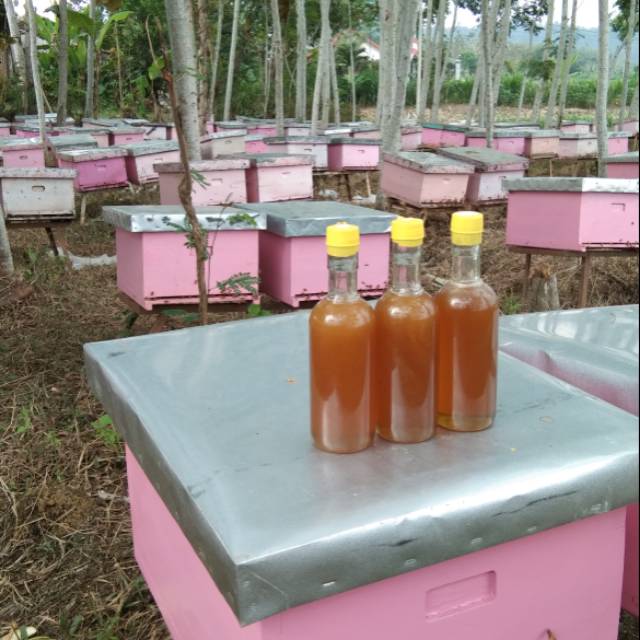 

Madu Murni Mentah 360 ml (Multiflora)