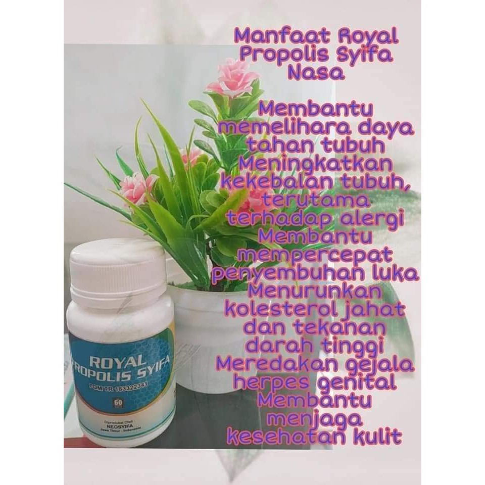 

ROYAL PROPOLIS SYIFA 100% ORI HERBAL,AMAN ICHASETIASHOP