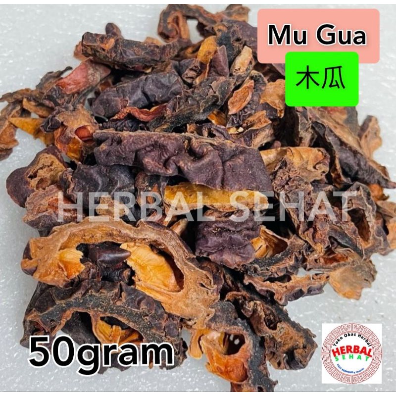 

Grade A Mu Gua 50 Gram - Fructus Chaenomelis Lagenariae