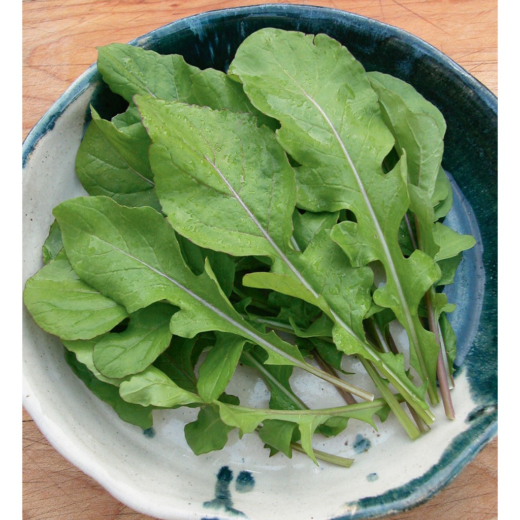 Benih-Bibit Arugula Roquette (Haira Seed)