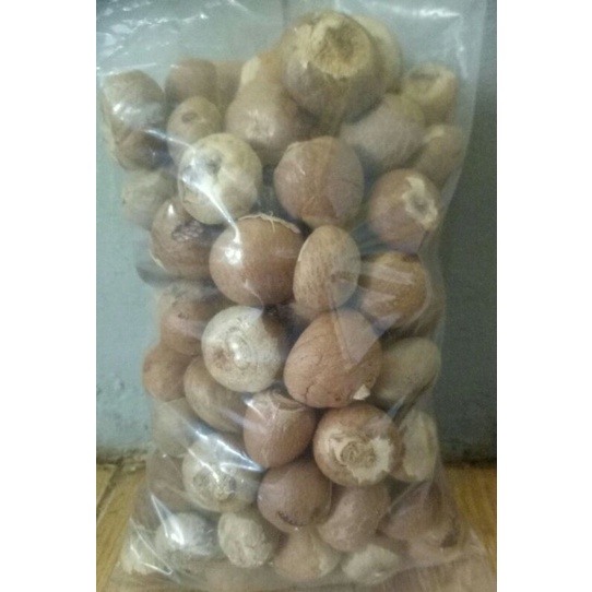 

Biji Pinang Tua Bulat Kering 1 kg diskon ongkir