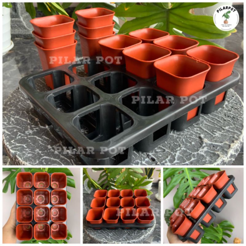 1 set Tray + pot bunga nkt kotak 5cm MERAH BATA | tray semai bibit