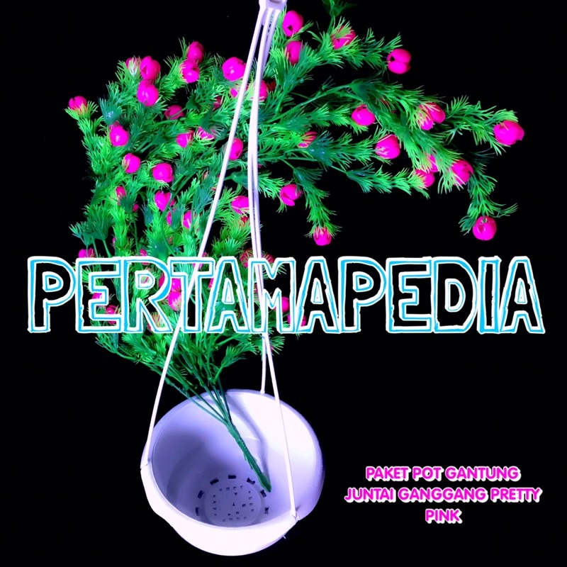 PAKET JUNTAI GANGGANG PRETTY PRITI+POT GANTUNG/Bunga Plastik/Daun Rambat Plastik/Busa Bunga/Dekorasi-3
