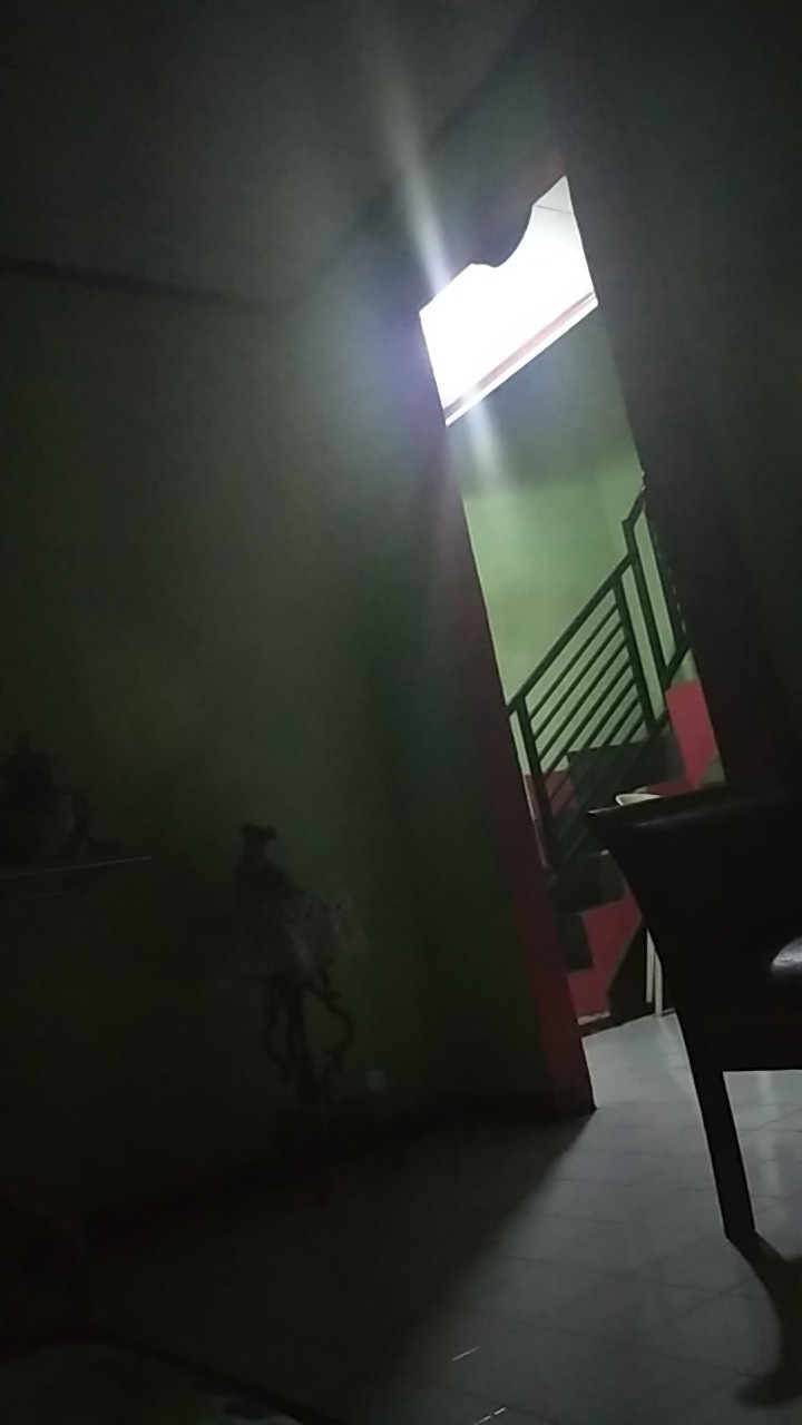 Bilah Bambu - Ajir Tanaman - Stake Planet