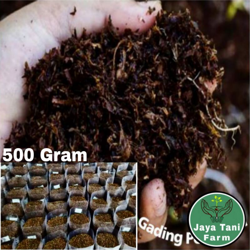 Jual 500 Gram Media Tanam Siap Pake Campuran Cocopeat, Arang Sekam ...