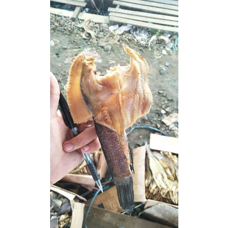 

Ikan Asin/Kering Haruan/gabus