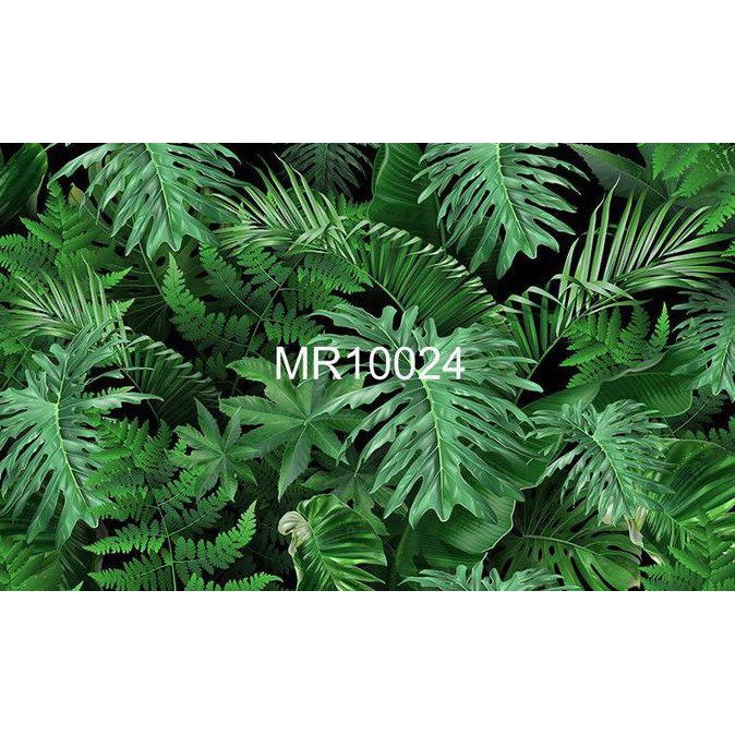 Photowall Mural Dinding 3D Wallpaper Mural Bunga Daun Monstera Hijau Yolansya12