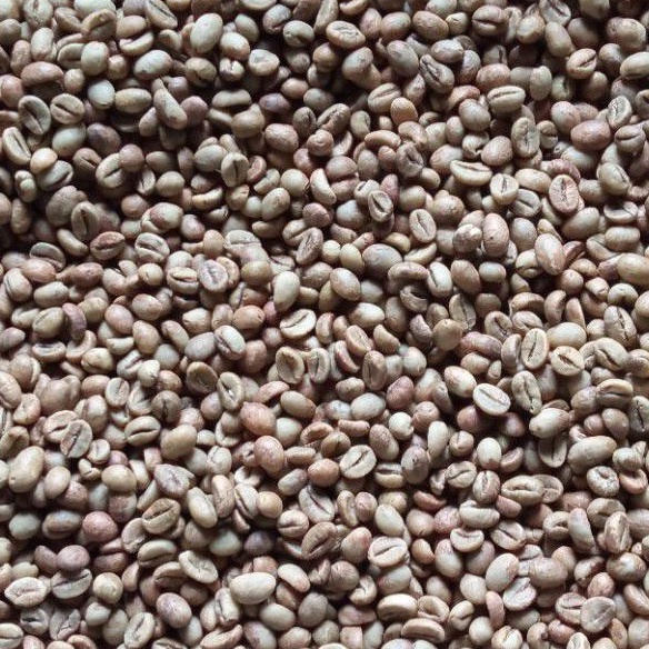 

Biji Kopi Lampung Barat (Grade 1)