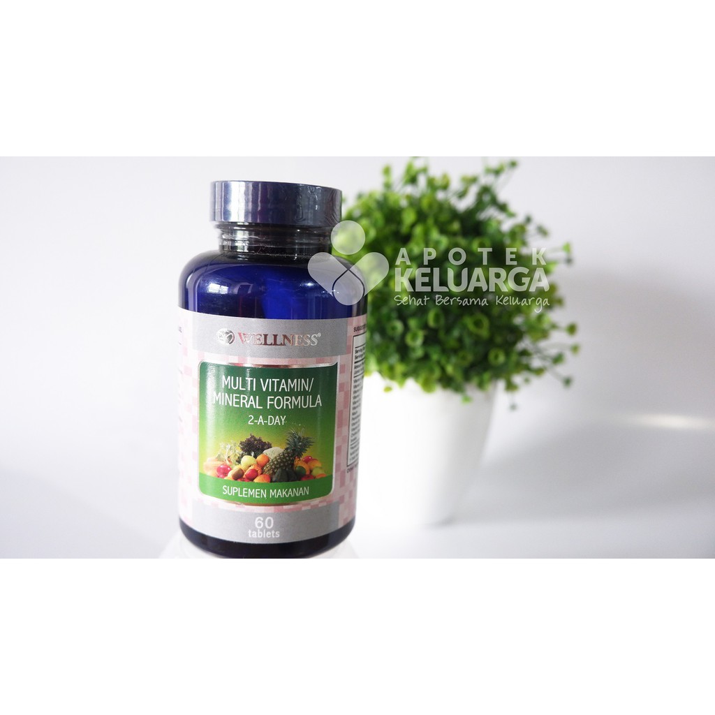 Wellness Multivitamin/Mineral Formula 2-A-Day