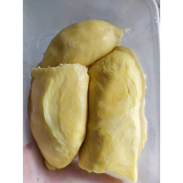 

Duren / durian montong Palu super