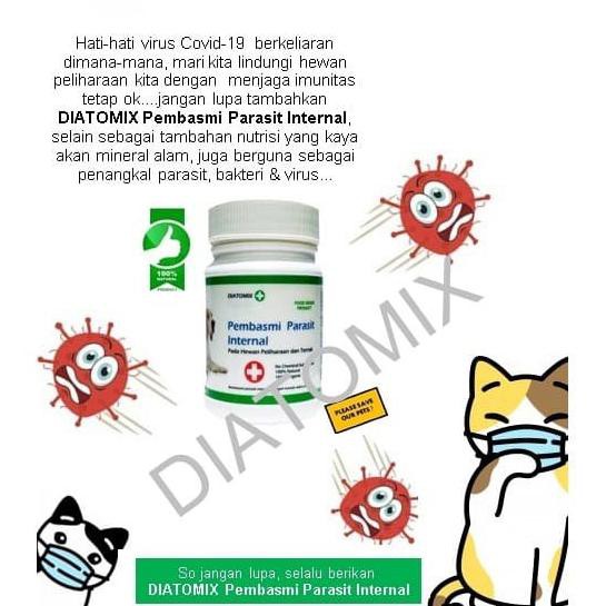 Obat Pembasmi Cacing Alami Untuk Kucing Anjing Hewan Peliharan Shopee Indonesia