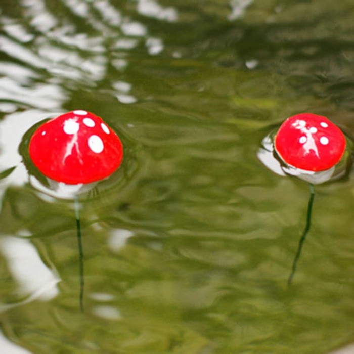 Mini Red Mushroom (10 pcs)