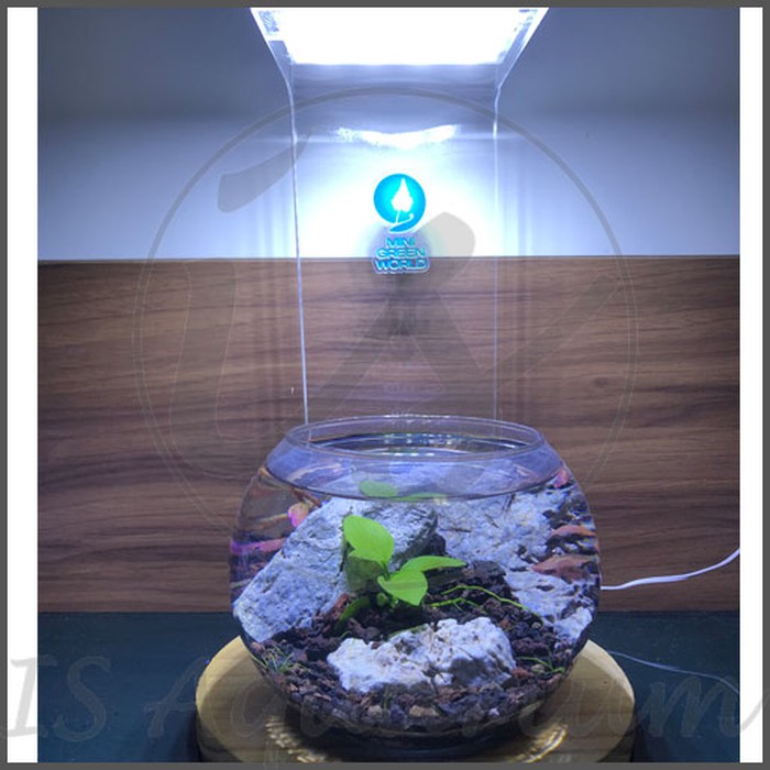  Lampu  Aquarium  Bulat Kecil  LAMPUKITA