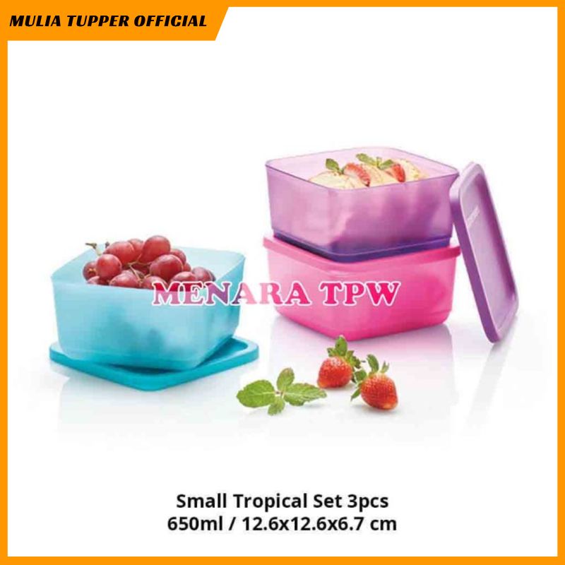 Baru Tupperware Small Tropical Small Summer Fresh 3pcs