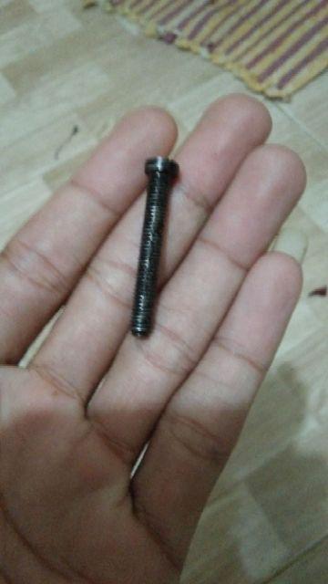 Baut Stopper Grendel Tiger